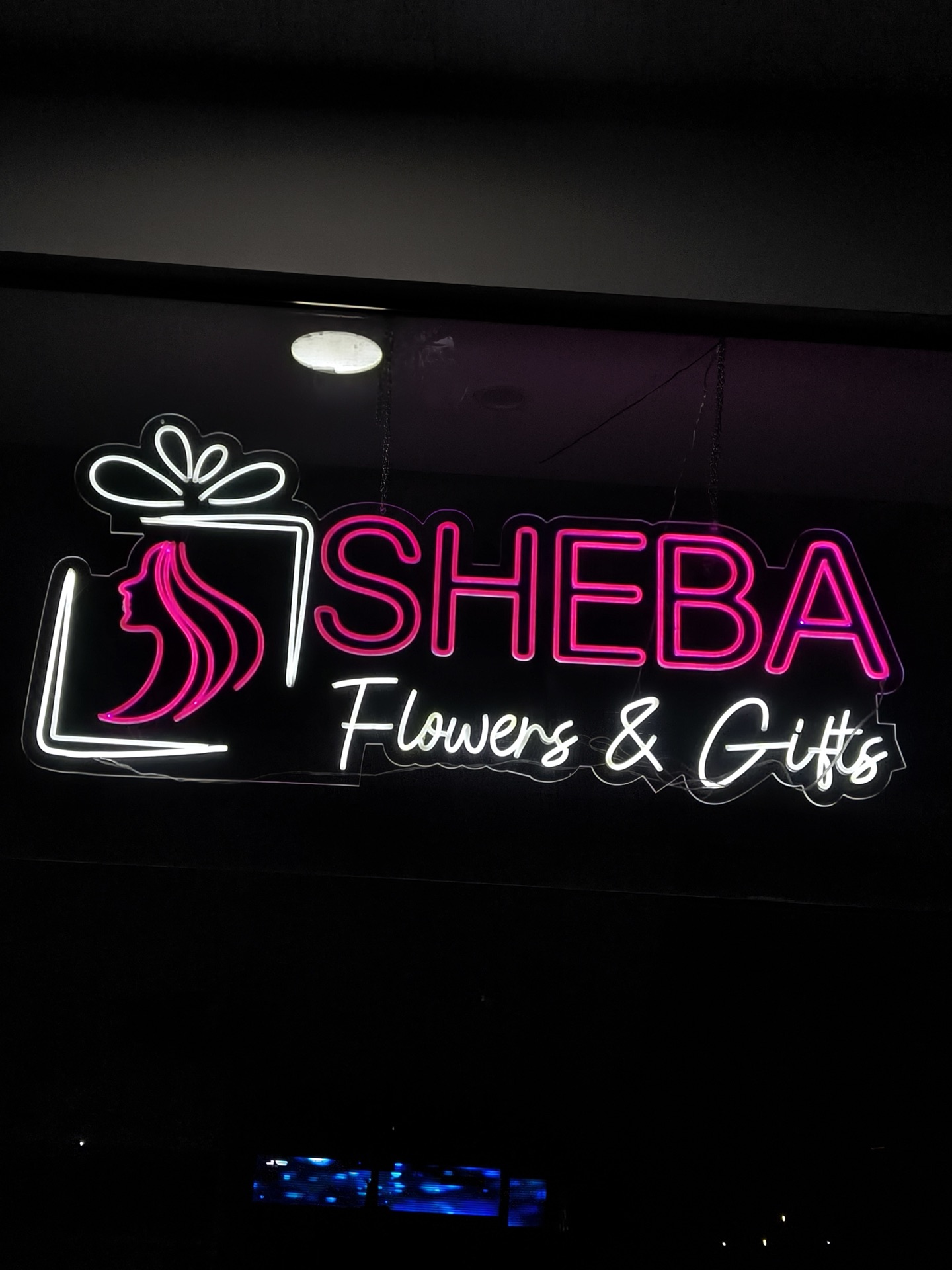 Stadium Tunnel Lightbox Panels